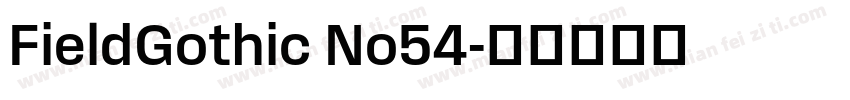 FieldGothic No54字体转换